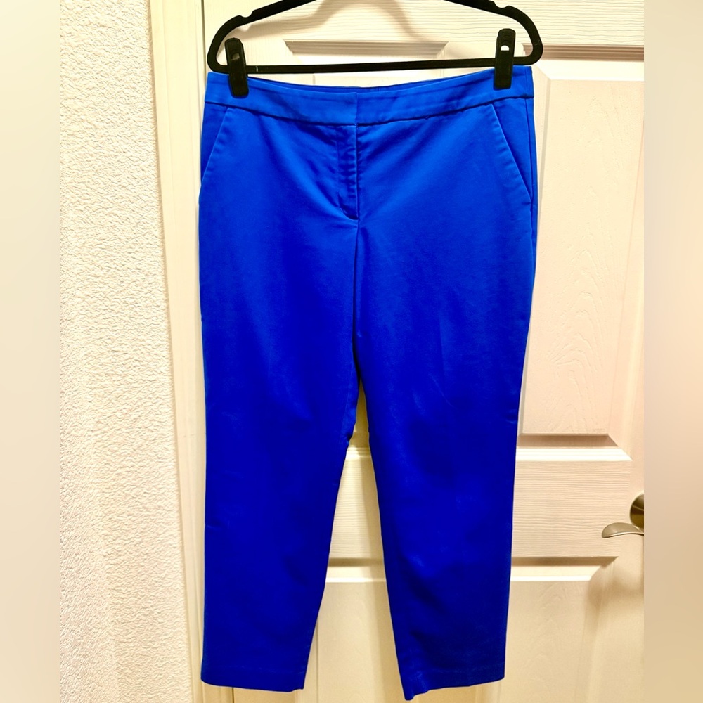 Express Blue Columnist Pants 12R